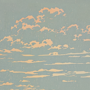 Detail of Sundown, Caswell Bay