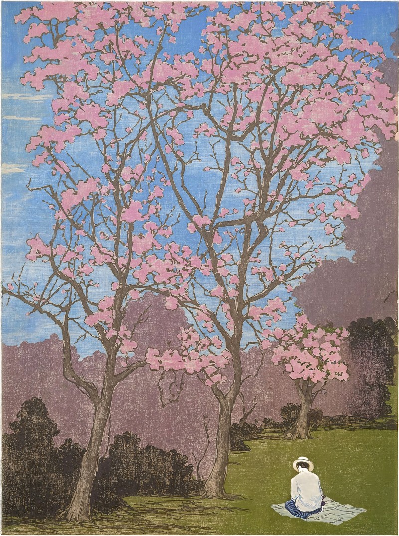 Under The Cherry Blossom