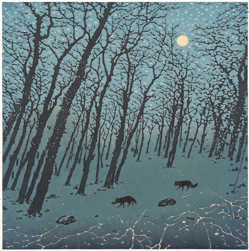 Night Foxes In Clyne Woods